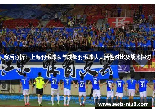 赛后分析：上海羽毛球队与成都羽毛球队灵活性对比及战术探讨