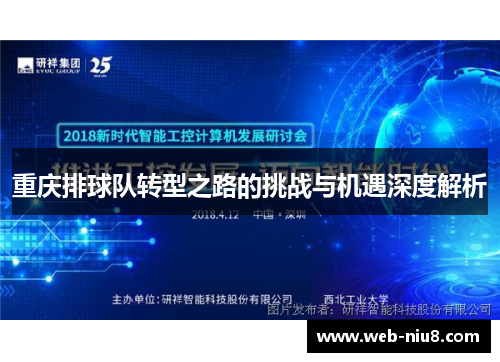 重庆排球队转型之路的挑战与机遇深度解析