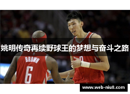 姚明传奇再续野球王的梦想与奋斗之路