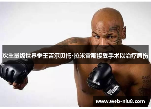 次重量级世界拳王吉尔贝托·拉米雷斯接受手术以治疗肩伤